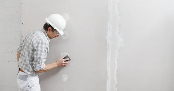 Best Commercial Mold Inspection  in Holly Springs, GA