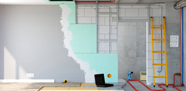 Best Black Mold Removal  in Holly Springs, GA