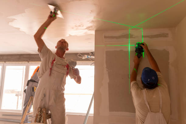 Best Water Damage & Mold Remediation  in Holly Springs, GA